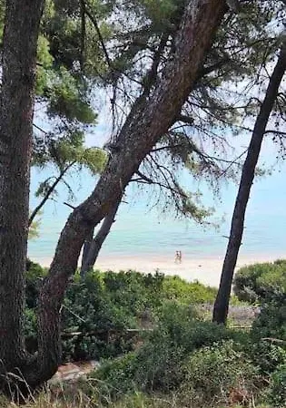 Sunny Seaside Villa-90 M From Beach Kriopigi Exterior photo