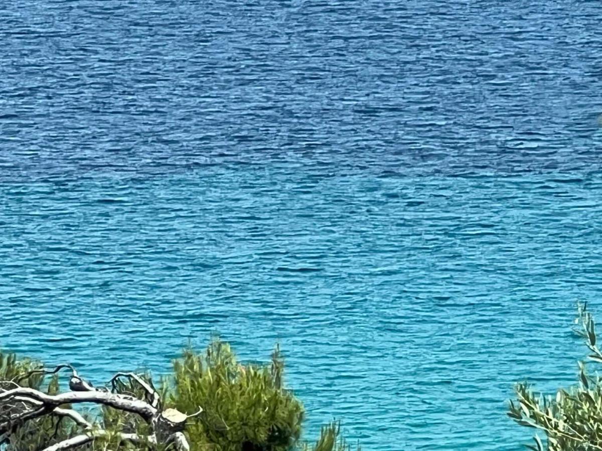 Sunny Seaside Villa-90 M From *