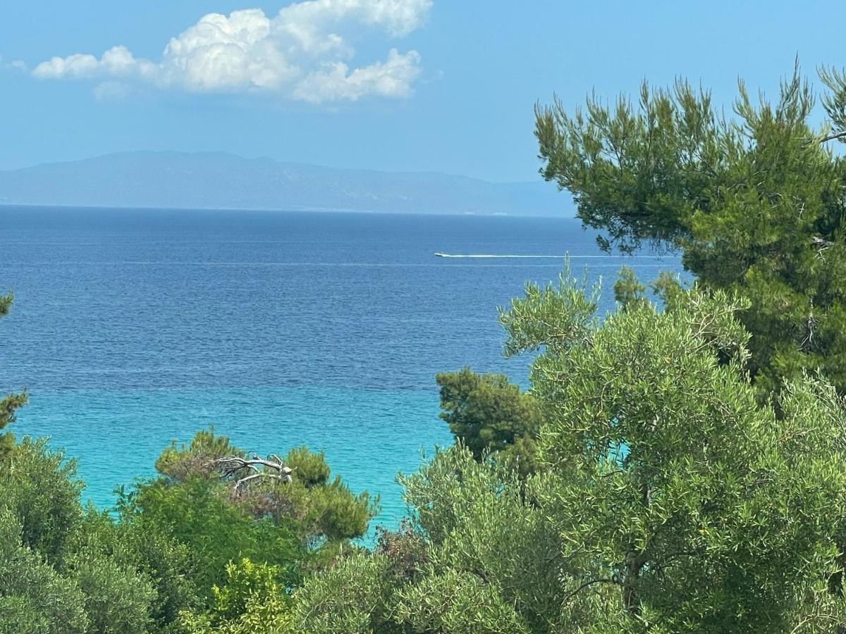 Villa Sunny Seaside Villa-90 M From
