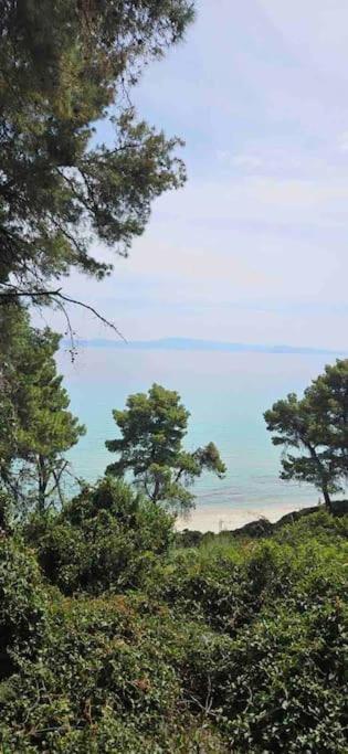 Sunny Seaside Villa-90 M From Villa Kriopigi