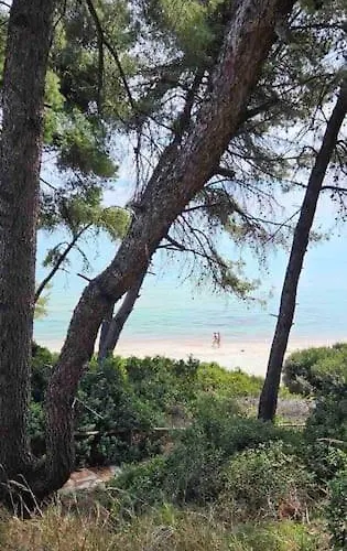 Sunny Seaside Villa-90 M From Beach